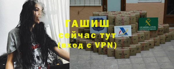 шишки Бородино