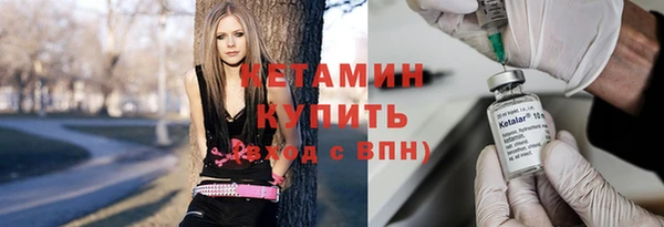 шишки Бородино