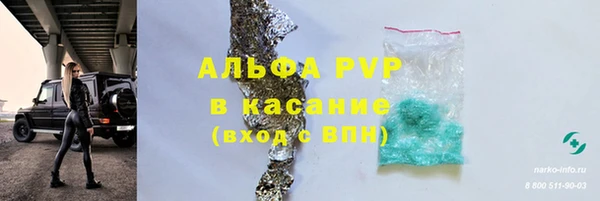 гидра Богородицк
