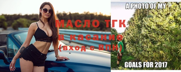 шишки Бородино