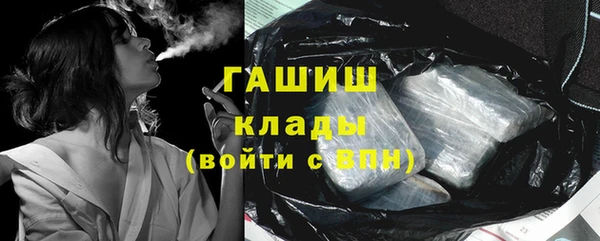 шишки Бородино