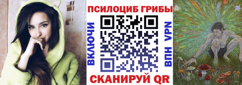 Псилоцибиновые грибы MAGIC MUSHROOMS где найти наркотики Бийск